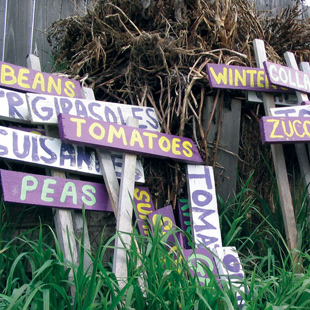 Rainier Beach Urban Farm and Wetlands