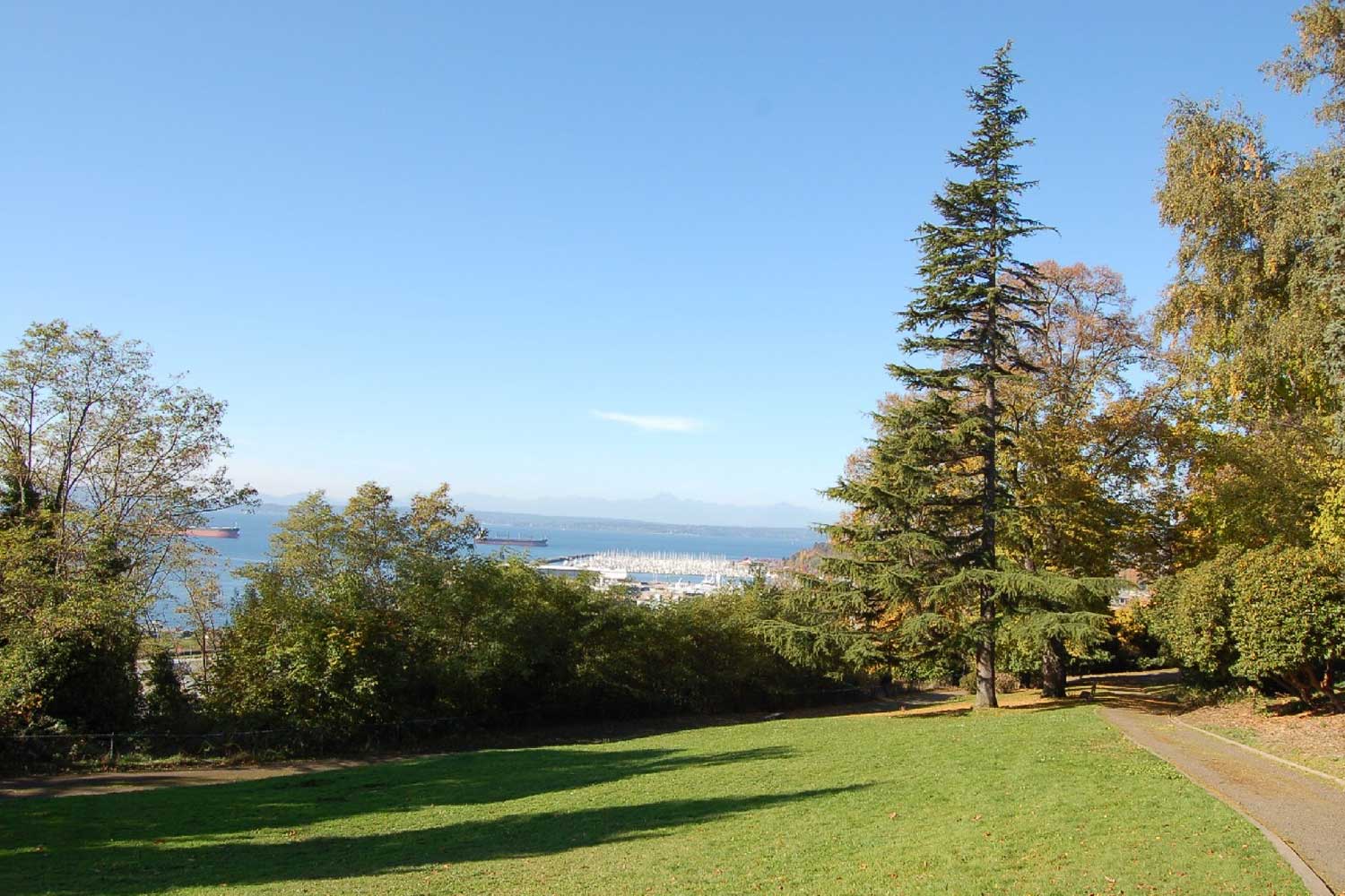 Kinnear Park greenspace - photo by Laurel Mercury