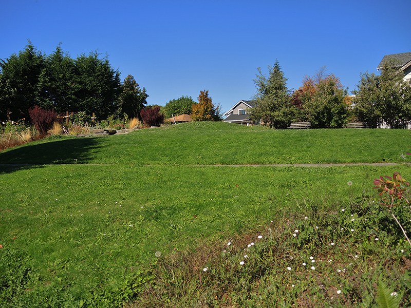 Linden Orchard lawn