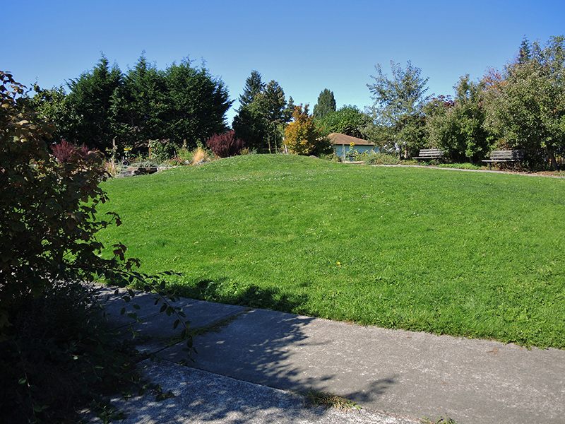 Linden Orchard lawn and pathway