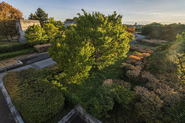 Sam Smith Park
