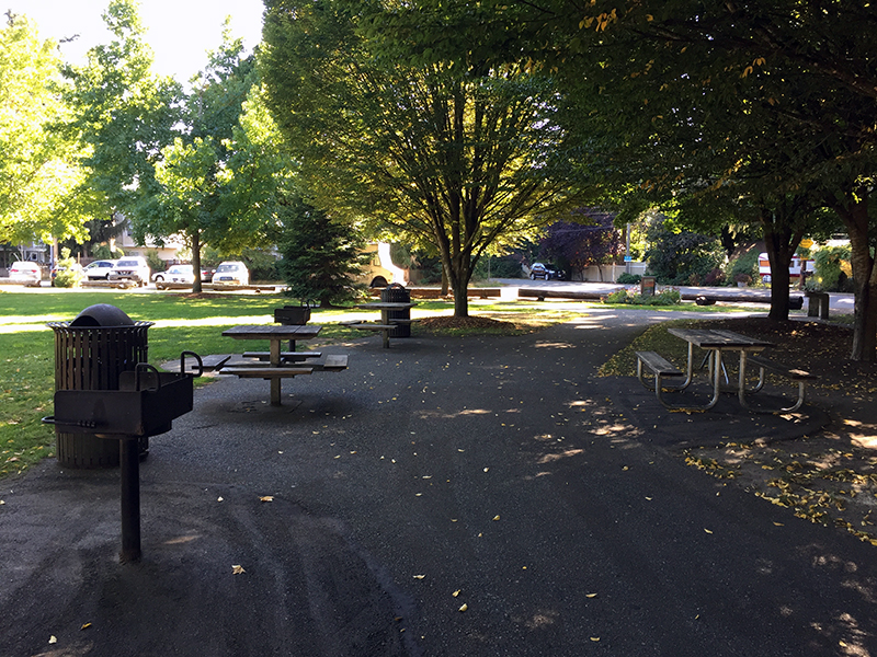 Picnic table at the Virgil Flaim Playground