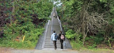 Two people stand at the bottom of a stairway that cuts through thick underbrush and trees