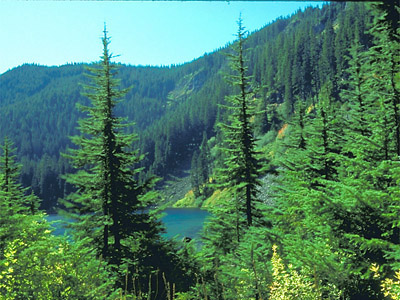 Upper Watershed: At the center of the Joe E. Monahan Research Area, Findley Lake is an undisturbed jewel nestled in the Cascade Range.