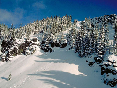 Cascade Crest: At 5414 feet, Meadow Mountain is the highest point in the Cedar River Watershed.