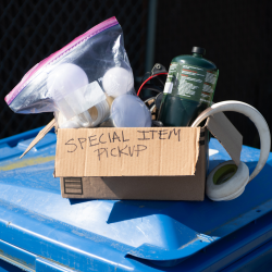 Photo of hands holding recyclables