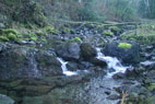 Rack Creek is a tributary to Chester Morse Lake and in its lower reaches provides spawning and rearing habitat for bull trout. Like many streams in the upper watershed, it mostly has step-pool and cascade type channels.