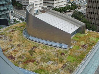 Aerial photo of green roof and bioretention facility on Seattle City Hall.