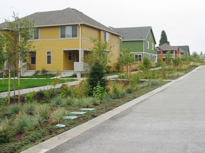 Image shows a porous cement roadway with bioretention system along siding with houses in background.