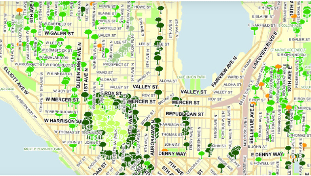 A map of Seattle's trees