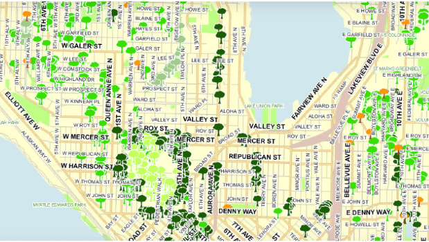 A map showing where trees are located in Seattle