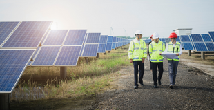 Three workers in hard hats and bright jackets walk through a field full of solar panels.