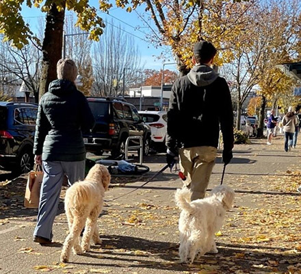 Two people walk their dogs on leaf-covered city sidewalks