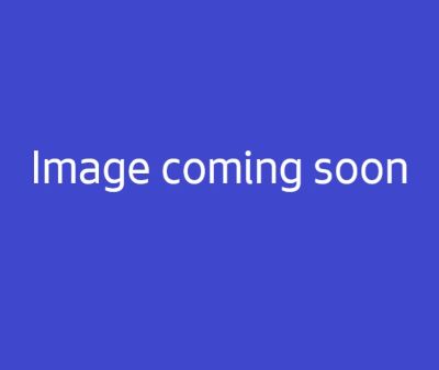 Image coming soon