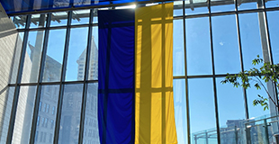 Ukraine flag