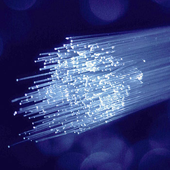 Bundle of fiber optic wires